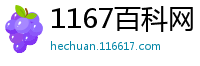 1167百科网